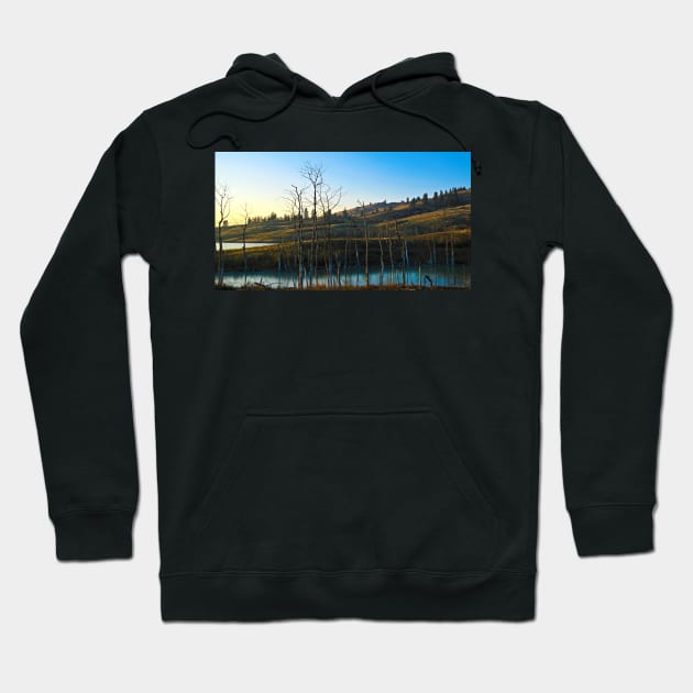 Vernon, B.C. Hoodie by kchase